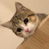家教
