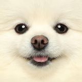 家教