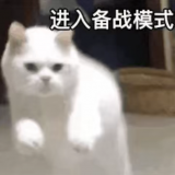 家教 家教
