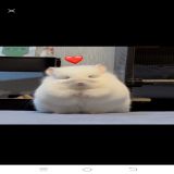家教