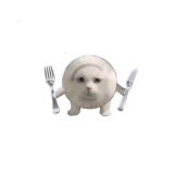 普通教师