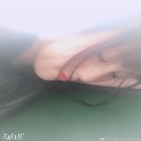 家教 家教