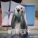 家教