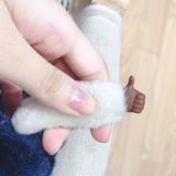 家教