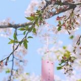 家教 家教